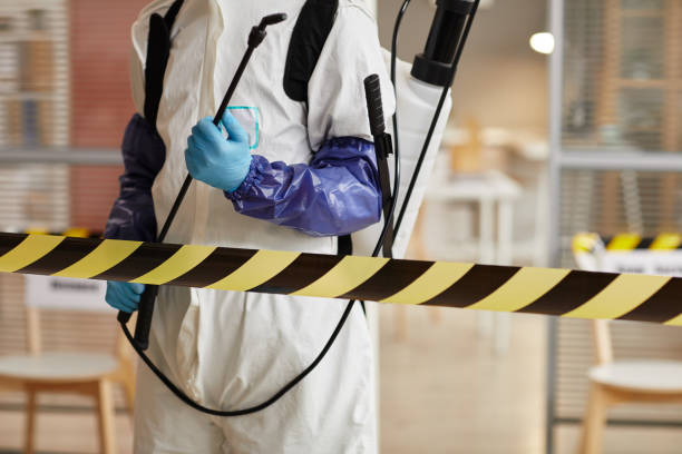 Professional Sewage Cleanup technician working in Winchester, MO